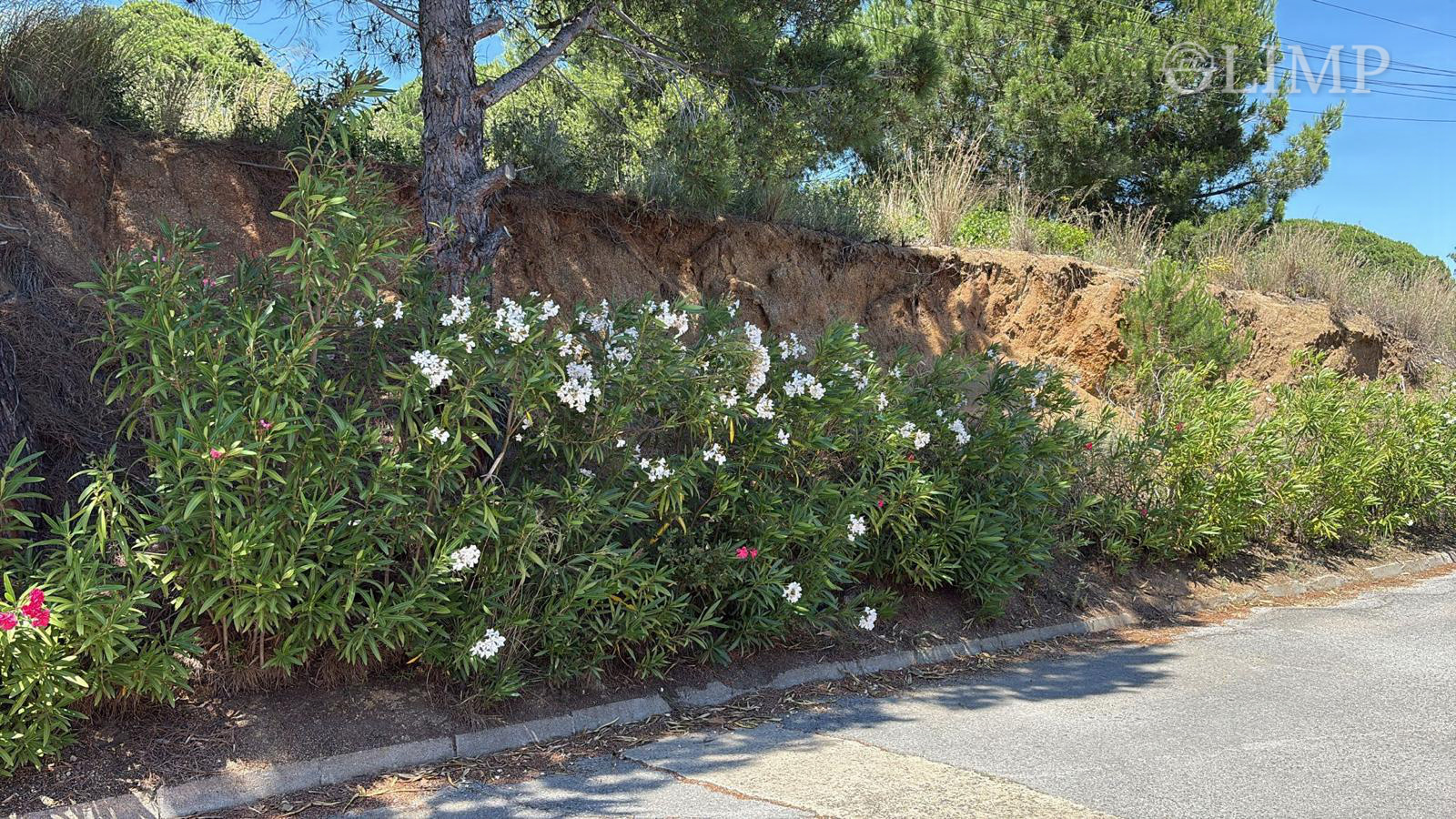 Terreno en Sant Vicenç de Montalt