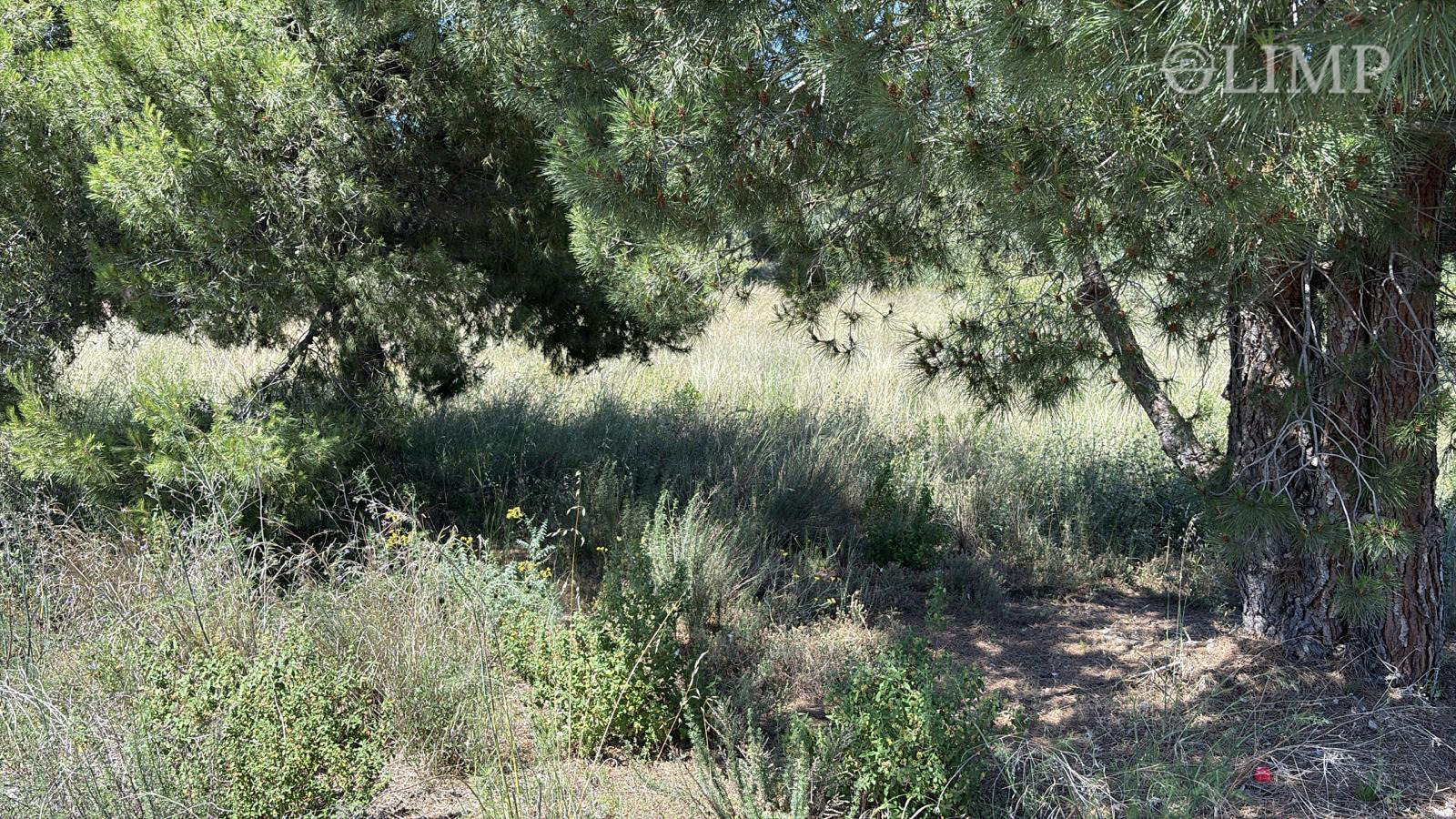 Terreno en Sant Vicenç de Montalt