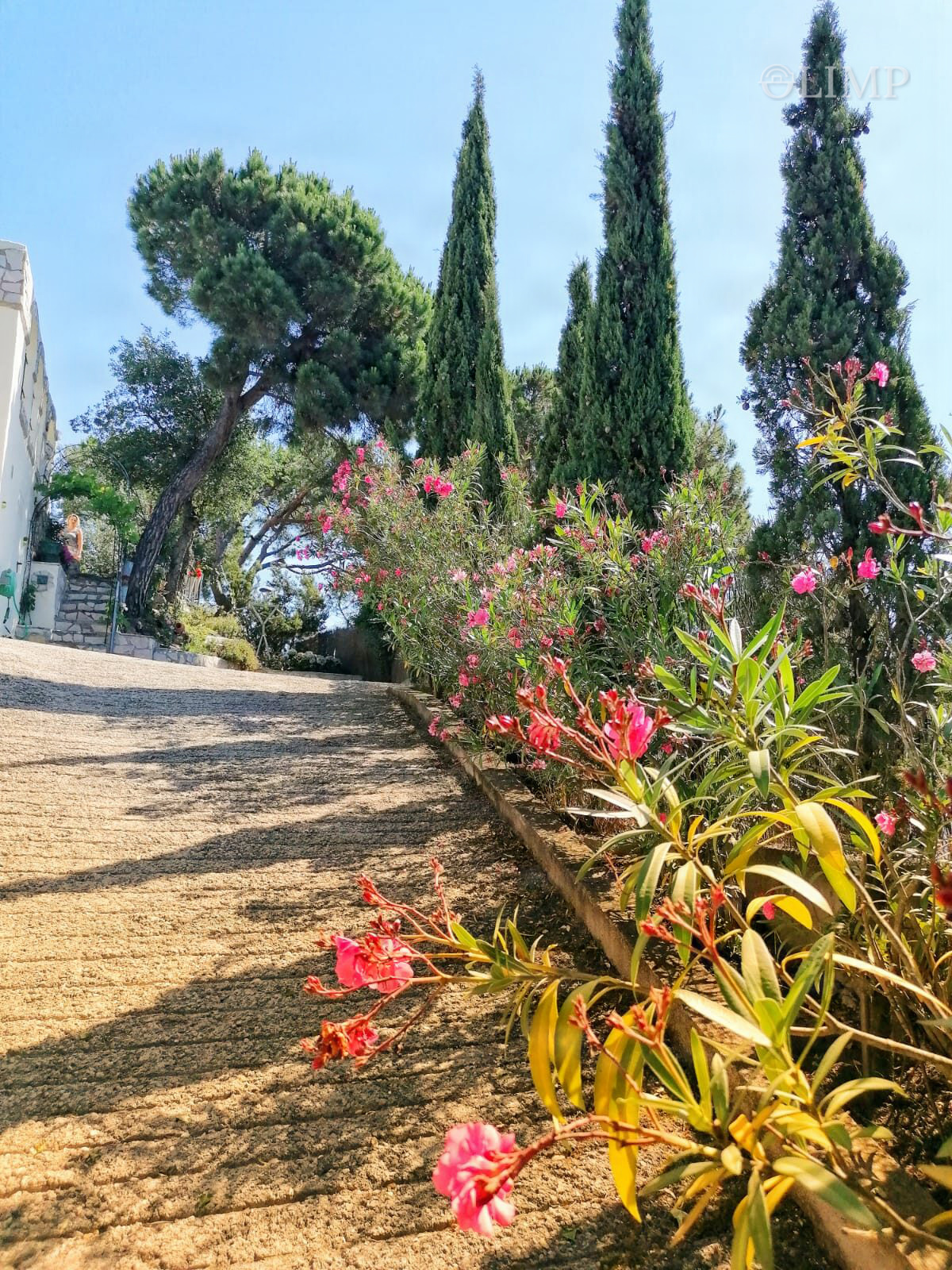 Jardín y zona exterior en Lloret de Mar