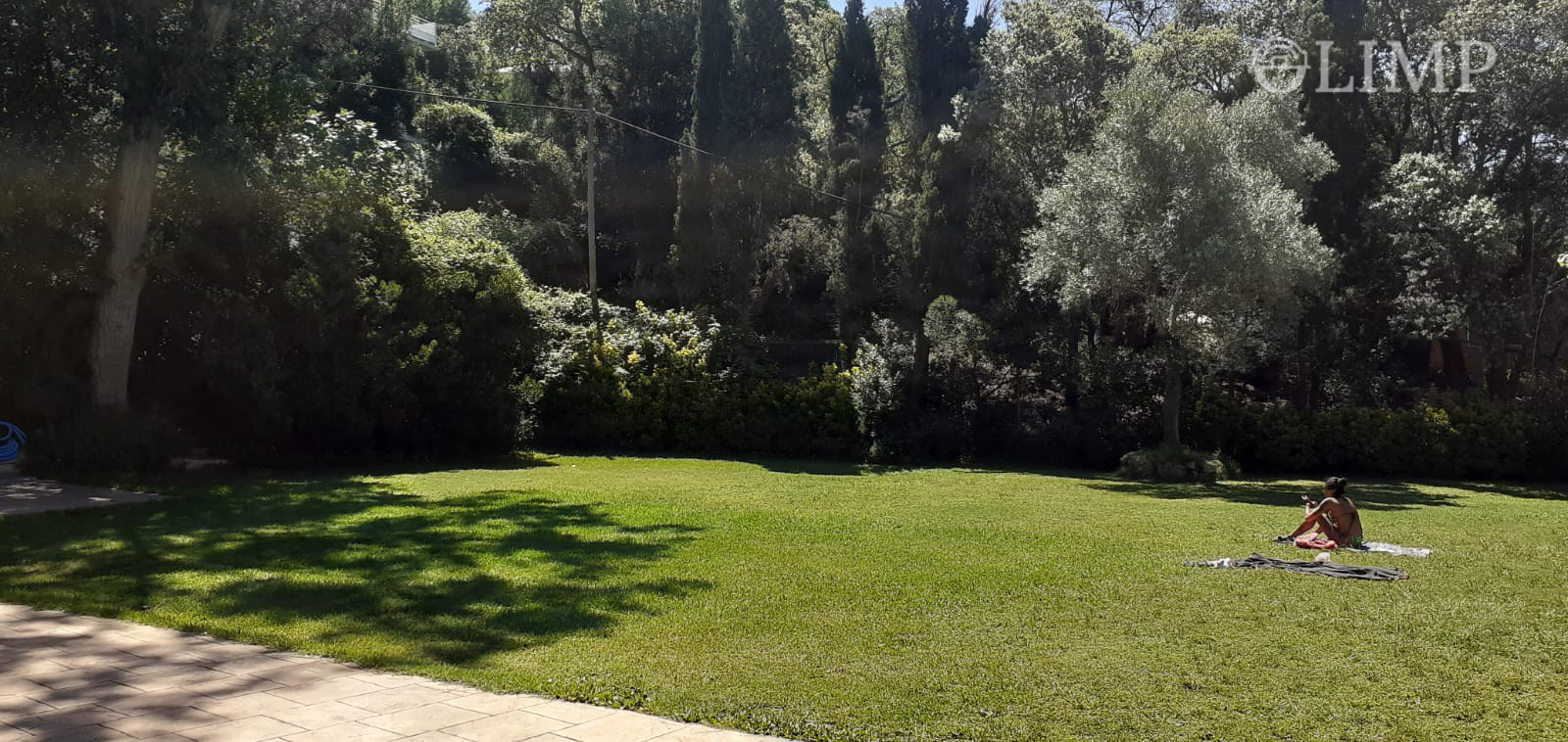 Jardín y zona verde del complejo