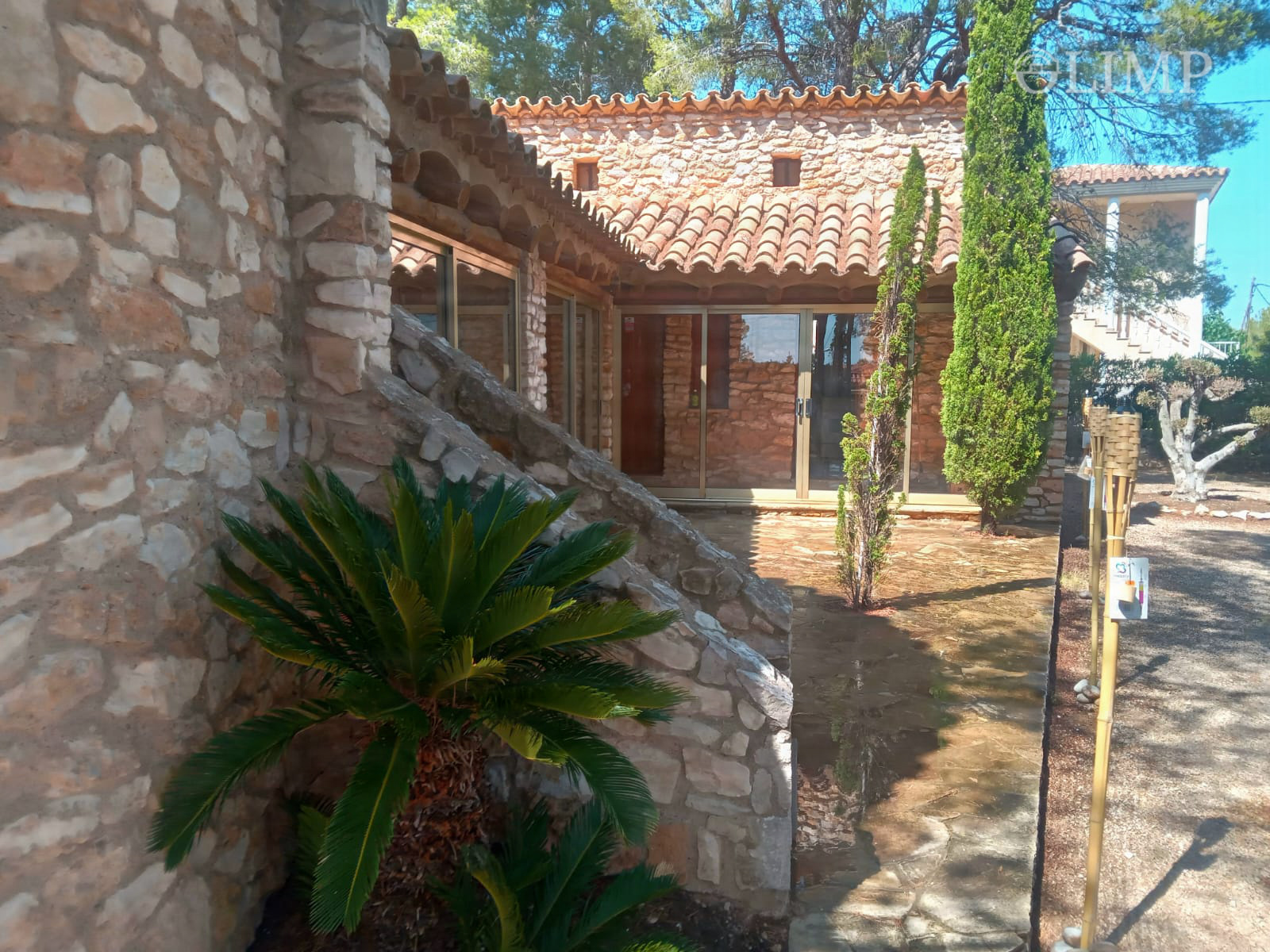 Jardín con vegetación y palmera